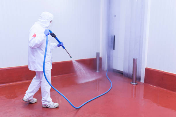 Best Playground Equipment Cleaning  in Independence, MO